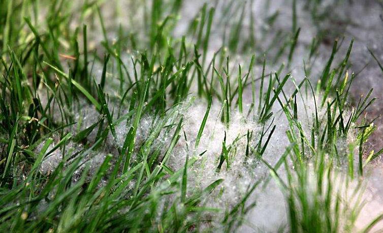 冬季將至，如何除去人造草皮中的冰雪？鉆石地為您支招